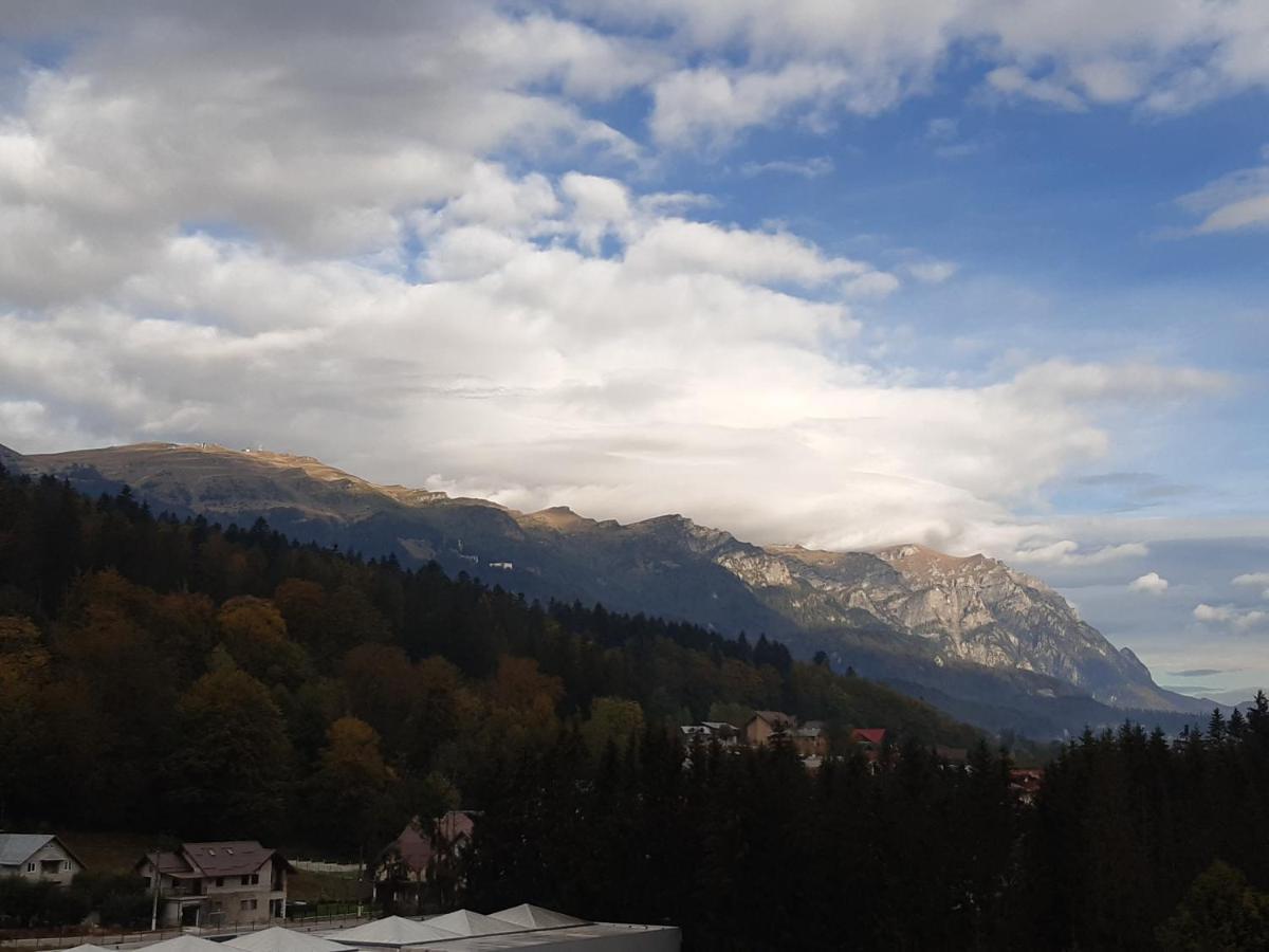 锡纳亚Bucegi View 39 - Colina Marei公寓 外观 照片