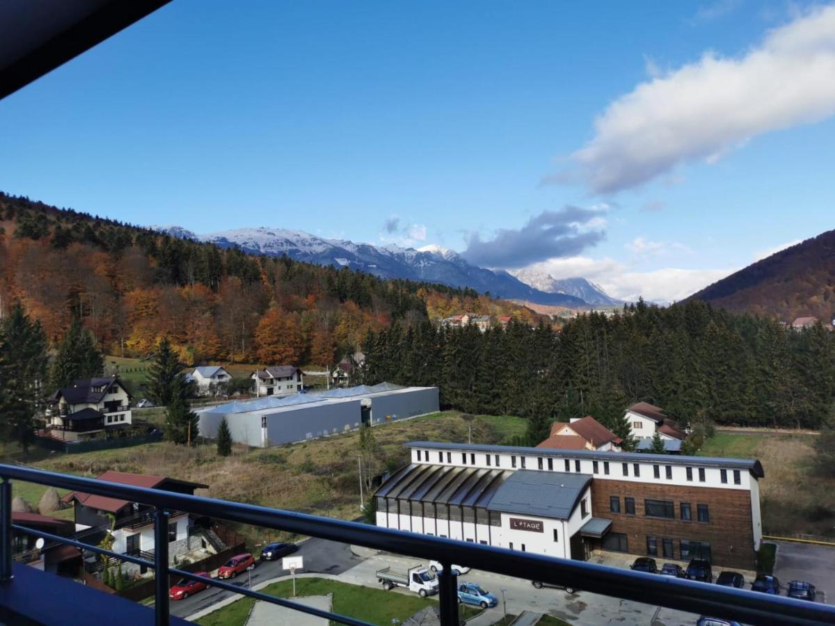 锡纳亚Bucegi View 39 - Colina Marei公寓 外观 照片