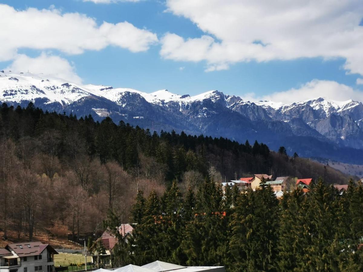 锡纳亚Bucegi View 39 - Colina Marei公寓 外观 照片