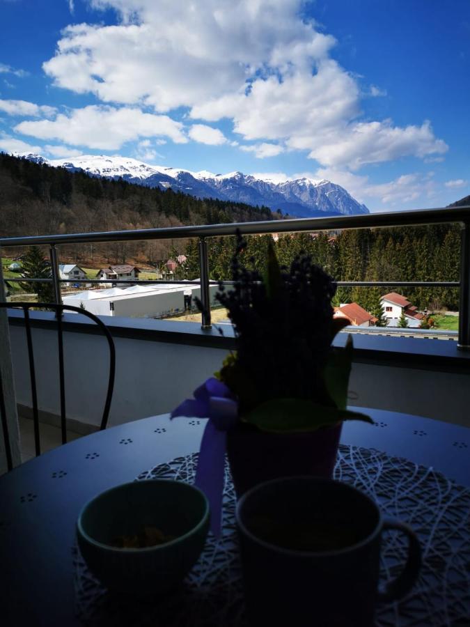 锡纳亚Bucegi View 39 - Colina Marei公寓 外观 照片